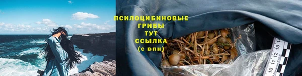 прущие крисы Нягань