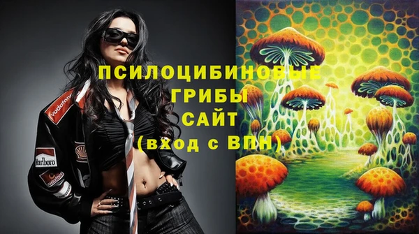 первитин Няндома