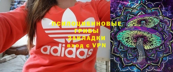 хмурый Нязепетровск