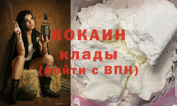 мет Новозыбков