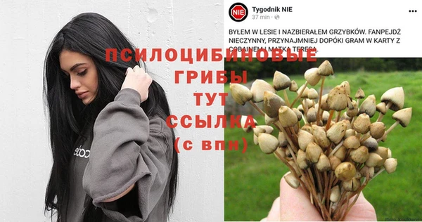 первитин Няндома