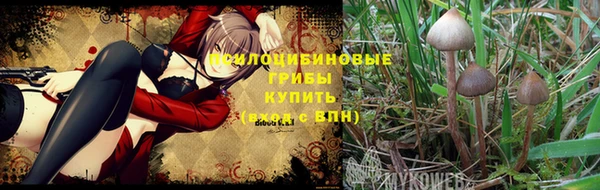 хмурый Нязепетровск