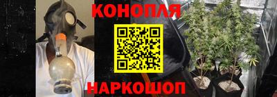 ешки Гатчина