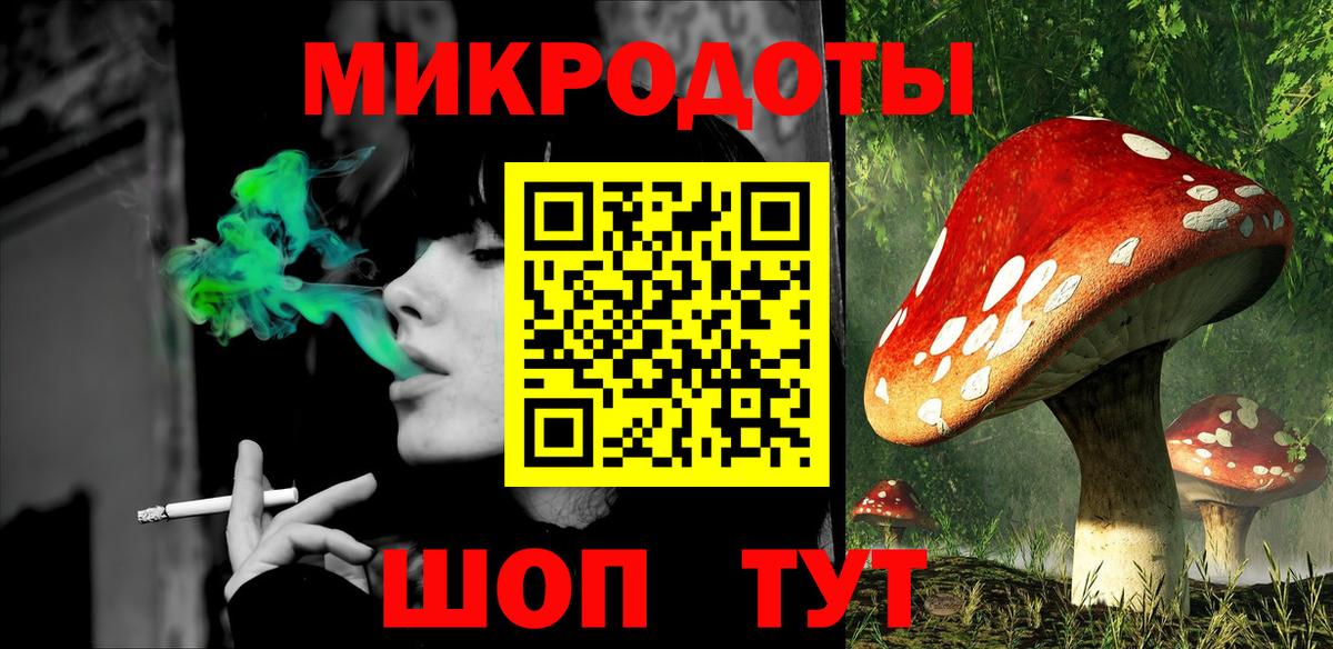 Галлюциногенные грибы Cubensis Кулебаки