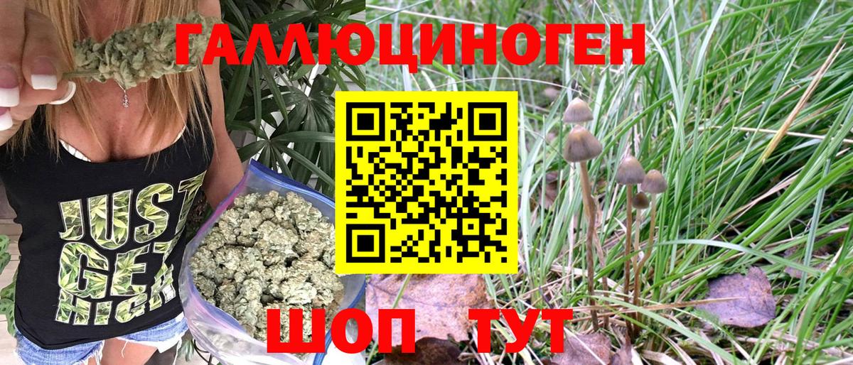 Галлюциногенные грибы GOLDEN TEACHER Кулебаки